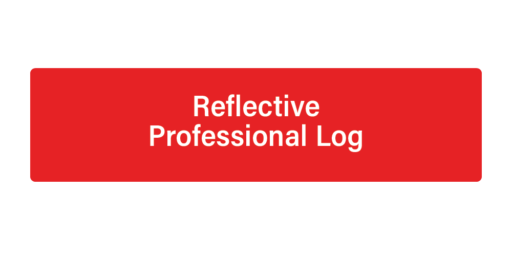 Reflective professional log