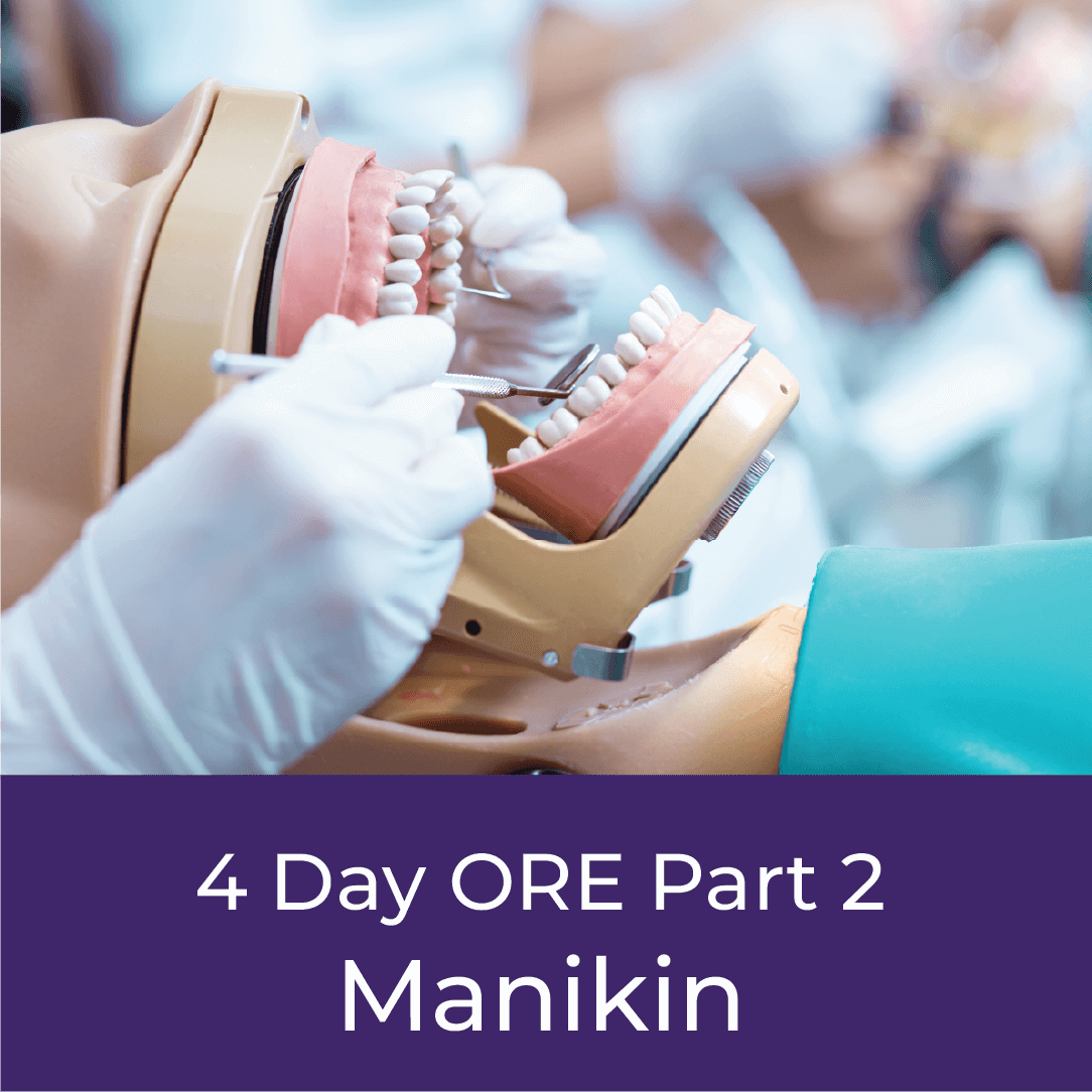 ore-part2-4day-manikin