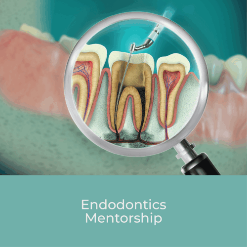 Endodontics Mentorship